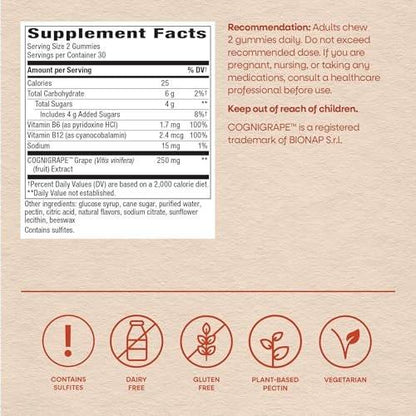 Nature's Way Brain Fuel Gummies, Brain Supplement for Focus and Memory Support, Clinically Studied Cognigrape Supports Cognition, Vitamins B6 & B12 Support Brain Function, Grape Flavored, 60 Count