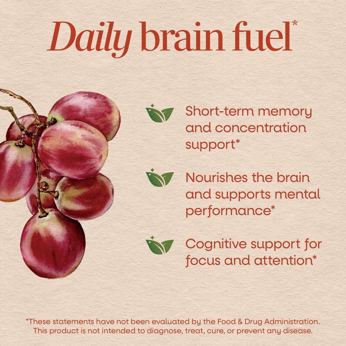 Nature's Way Brain Fuel Gummies, Brain Supplement for Focus and Memory Support, Clinically Studied Cognigrape Supports Cognition, Vitamins B6 & B12 Support Brain Function, Grape Flavored, 60 Count - görsel 5