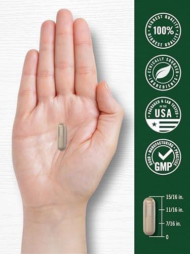 Carlyle Saw Palmetto for Men and Women | 250 Capsules | Herb Extract Supplement | Serenoa Repens | Non-GMO and Gluten Free - görsel 1