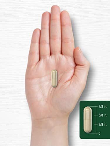Carlyle Maca Root Capsules for Women & Men | 180 Count | High Potency Extract | Non-GMO & Gluten Free Supplement - görsel 11
