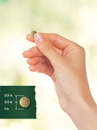Carlyle Ginkgo Biloba | 200 Vegetarian Tablets | Extra Strength | Non-GMO, Gluten Free Formula | by Tahoe Nutritionals