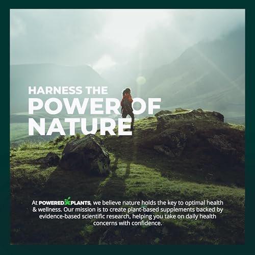 POWERED X PLANTS Pure Berberine Supplement - 1300mg Berberine with Ceylon Cinnamon for Metabolism & Immune System Support - 2 Pack, 120 Servings - görsel 14