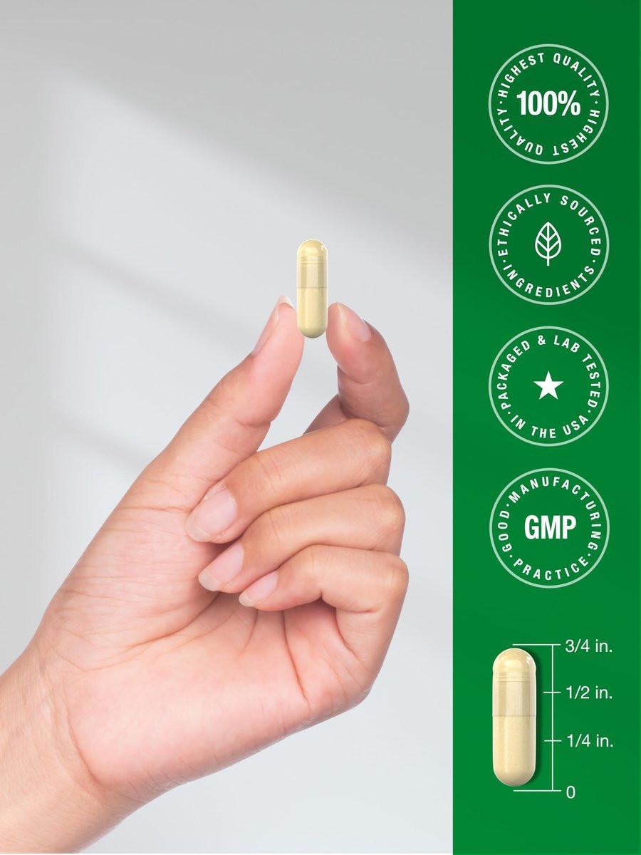 Horbäach Turkey Tail Mushroom Capsules | 120 Count | Non-GMO and Gluten Free Extract - görsel 11