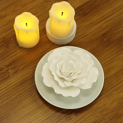 Passive Diffuser for Essential Oil - Ceramic Diffuser Non Electric Oil Diffusers for Small Mini Room, Desk Decorative, Bathroom (White Hibiscus)