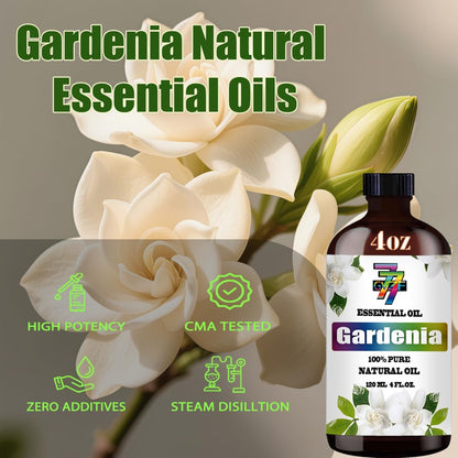 Gardenia Essential Oil – Gardenia Oil for Diffuser, Humidifier, Candle Making, Soap, Home Aroma, Gift – Gardenia Fragrance Oil 4 fl oz (120 ml) Long Lasting Floral Scent – GV77Z