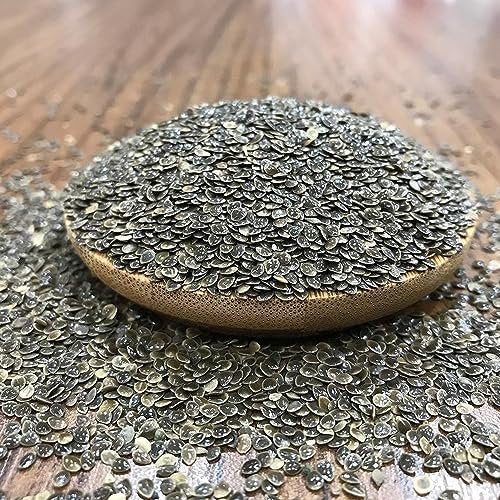 Natural Nettle Seed (Urtica dioica) - 250g Premium Quality - görsel 16