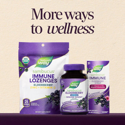 Nature's Way Sambucus Zero Sugar Immune Gummies, Daily Immune Support, Black Elderberry Extract, Vitamin C, Vitamin D3, Zinc, Sugar Free, Sugar Alcohol Free, Plant-Based Sweeteners, 70 Gummies
