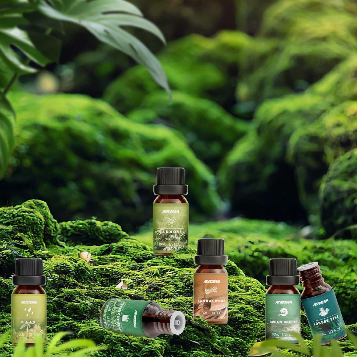 Nature Essential Oils Set, ARVIDSSON Natural Fragrance Oils for Candle Making, Fresh Cut Grass, Ocean Breeze, Rain, Pine, Sandalwood, Oakmoss, Diffuser Scented Oils - görsel 11