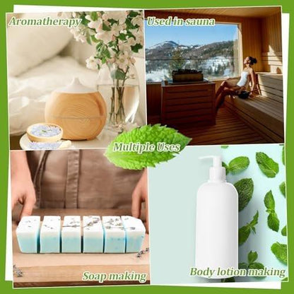 3.5oz Menthol Crystal Bulk - Food Grade Menthol Crystals Organic Mentol Cristal for Shower Steamer Aromatherapy Vapo Tablet Making Colds Restore Congestion Relief Peppermint Essential Oil Making
