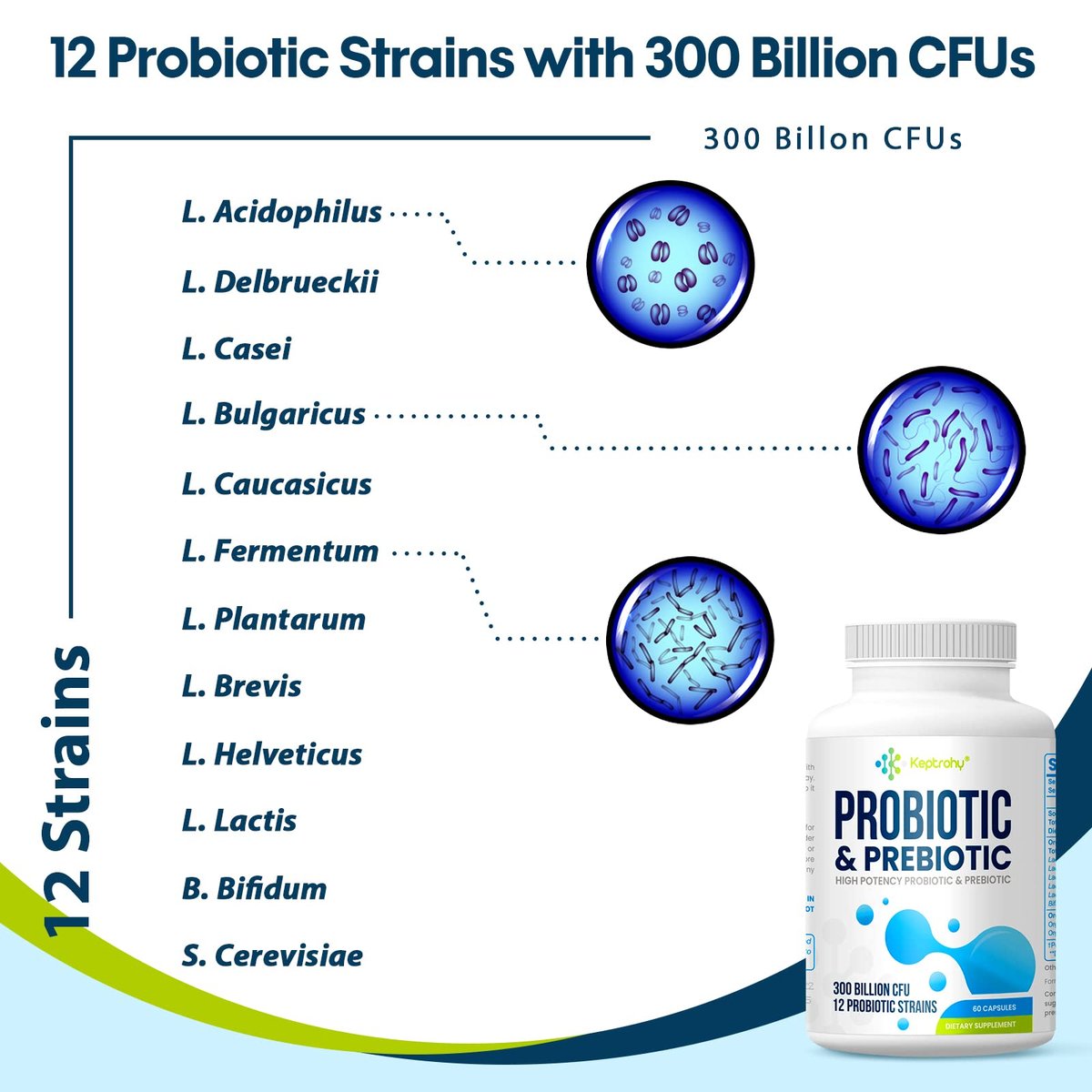 Probiotics for Women & Men, 300 Billion CFU Probiotics from 12 Strains + Organic Prebiotics Blend for Daily Digestive, Immune, Gut, Bloating, Gut Health for Women & Men, Shelf Stable - 60 Capsules - görsel 9