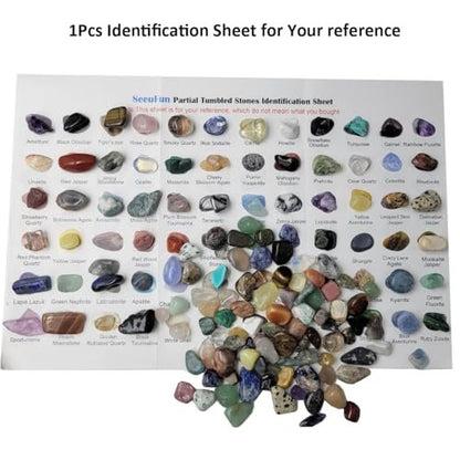 800Pcs+ (3lb) Gemstones and Crystals Set, 30Kinds+ Bulk Rocks and Minerals Science Kit, Rocks Collections for Kids, Tumbled Chips Crystals, Crushed Stones