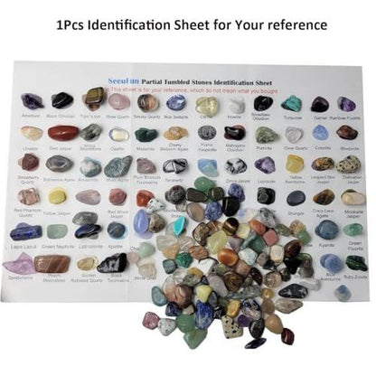800Pcs+ (3lb) Gemstones and Crystals Set, 30Kinds+ Bulk Rocks and Minerals Science Kit, Rocks Collections for Kids, Tumbled Chips Crystals, Crushed Stones