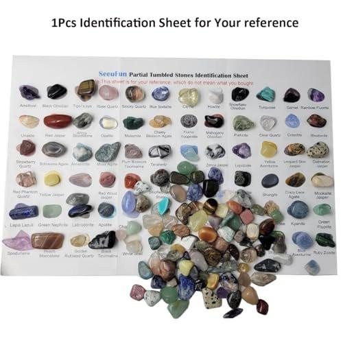 800Pcs+ (3lb) Gemstones and Crystals Set, 30Kinds+ Bulk Rocks and Minerals Science Kit, Rocks Collections for Kids, Tumbled Chips Crystals, Crushed Stones - görsel 3