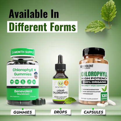 Benevolent Nourishment Chlorophyll Supplement, Detox & Immune Support, Internal Deodorizer, Capsules
