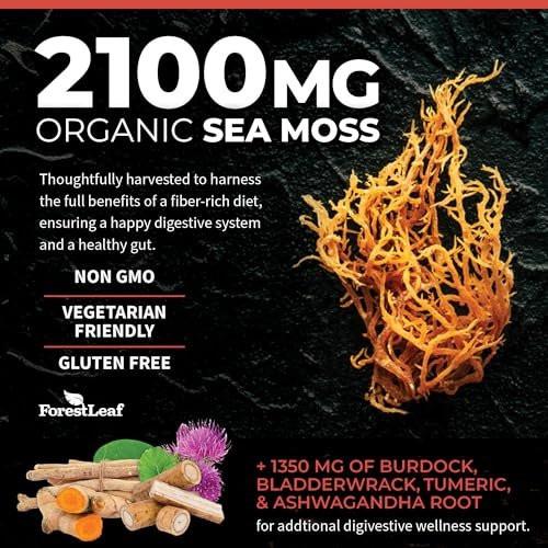 ForestLeaf Organic Irish Sea Moss Capsules | 2100mg Raw Seamoss Pills Advanced Supplement Superfood + Burdock, Bladderwrack for Digestive, Respiratory, Immune Health | 90 Vegan Organic Sea Moss Caps - görsel 9