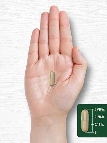 Carlyle Echinacea Goldenseal Capsules | 110 Count | Vegetarian, Non-GMO and Gluten Free Extract Supplement