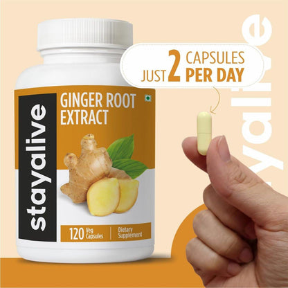 STAY ALIVE Pure Ginger Root Capsules 1000mg, 10:1 Extract Powder with 5% Gingerols, 120 Pills, Extra Strength Root Powder, Vegan, Non-GMO and Gluten-Free Ginger Supplement