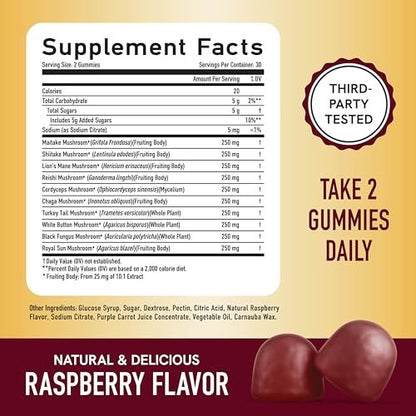 SMNutrition Mushroom Gummies for Adults | with Lions Mane, Turkey Tail, Reishi, Cordyceps, Chaga & Maitake | Support Cognitive Function & Immune Health | Raspberry Flavor | 60ct