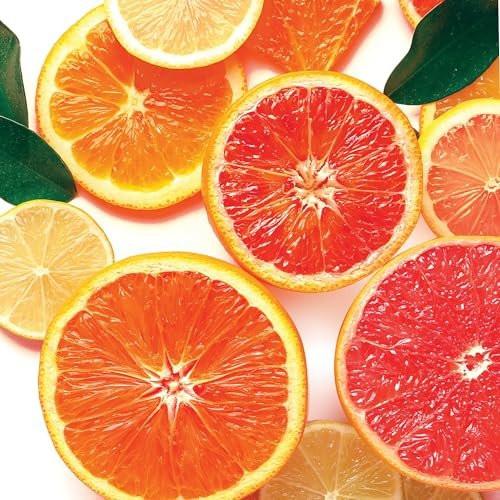 Grapefruit Zest Odor Eliminating Highly Fragranced Candle - Eliminates 95% of Pet, Smoke, Food, and Other Smells Quickly - Up to 80 Hour Burn time - 12 Ounce Premium Soy Blend - görsel 17