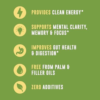 MCT Oil Organic - C10 C8 MCT Oil for Sustained Mental Energy & Focus Support - Organic For Coffee, Smoothies, & More - Palm Free Vegan Keto & Paleo Friendly 16 Fl Oz - Non-GMO - Aceite De Coco