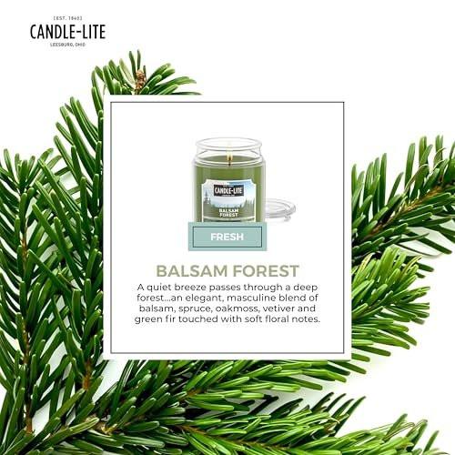 Candle-lite Fall Scented Candles, Balsam Forest Fragrance, 18 oz Jar, Proudly Poured in USA, Aromatherapy Candle, Single-Wick with 110 Hours of Burn Time - görsel 8