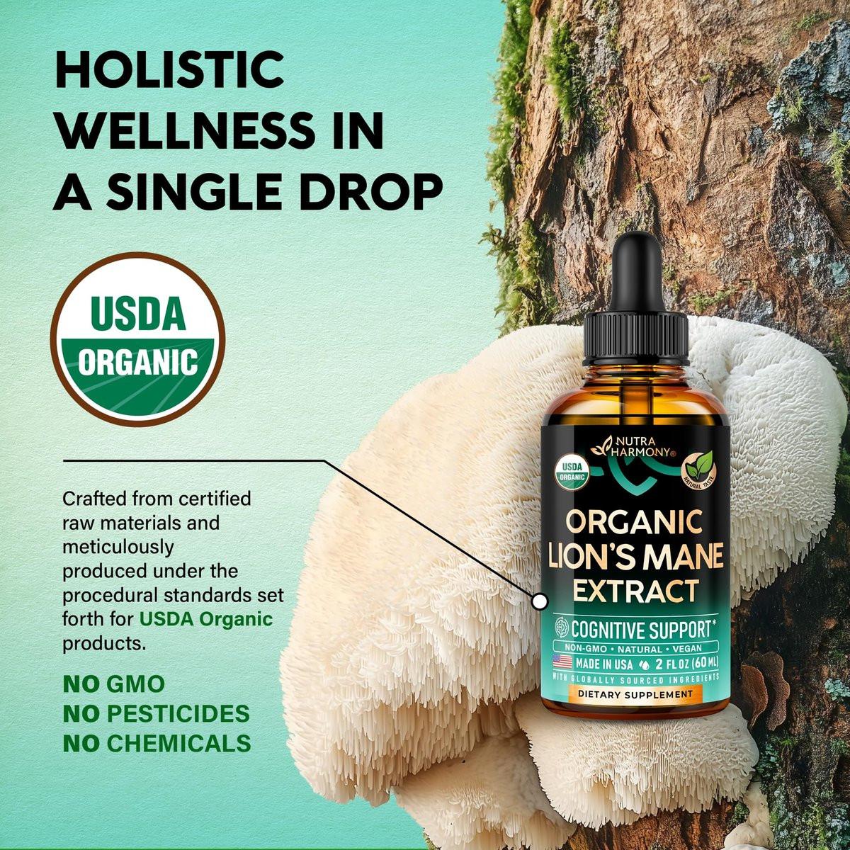 Lions Mane Liquid - USDA Certified Organic Lions Mane Supplement - Brain Support, Energy, Memory & Focus - Sugar & Alcohol-Free Lion's Mane Mushroom Extract 72,000 mg / Bottle, 2 Fl OZ, 2 Month Supply - görsel 5