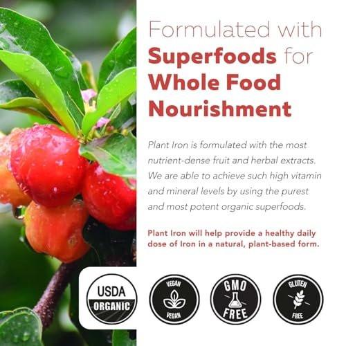Organic Iron Supplement | Whole Food Mineral & Cofactors, 25 mg Elemental | Enhanced Absorption Plus Blood Health Vitamins – Gentle Form – Supports Healthy Levels & Blood Health – 90 Capsules - görsel 7