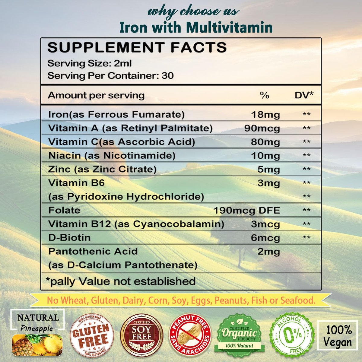 Iron Supplement for Women Men & Kids, Iron Vitamin C, A, B-Complex, Vegan Iron Drops High Potency Liquid Vitamin & Iron Supplements for Anemia, Red Blood Cell, Energy, Blood Builder, Gentle - görsel 14