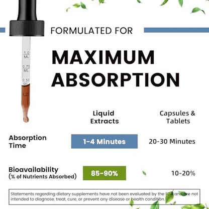 Magnesium Glycinate Liquid Drops with L-Theanine, Ashwagandha & Saffron - Herbal Sleep & Calm Support with Chamomile, Passionflower & Kava - Relaxation, Mood & Nerve Support - Sugar Free - 1 Pack