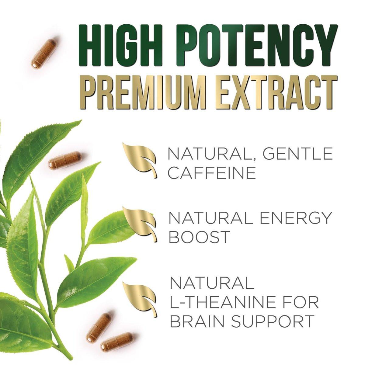 Green Tea Extract Capsules - 3X Strength Green Tea Extract 1000 mg Per Serving Pills with 45% EGCG & 98% Polyphenols for Natural Energy - Antioxidant Herbal Heart Support Supplement - 120 Capsules - görsel 13
