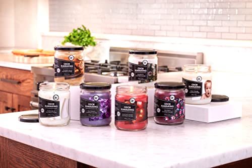Tropical Fruit Two Pack Odor Eliminating Highly Fragranced Candle - Eliminates 95% of Pet, Smoke, Food, and Other Smells Quickly - Up to 80 Hour Burn time - 12 Ounce Premium Soy Blend - görsel 11