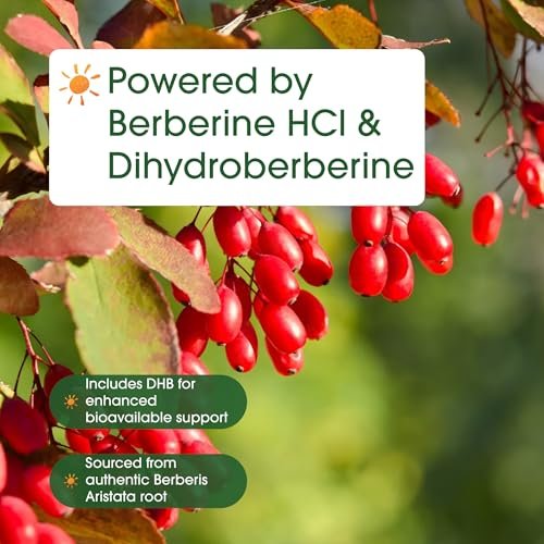 NatureBell Dihydroberberine with Berberine HCl - 120 Vegetarian Capsules - 500mg Dual Action Complex with GlucoVantage for High Absorption - Balanced Sugar & Heart Health Support* - görsel 6