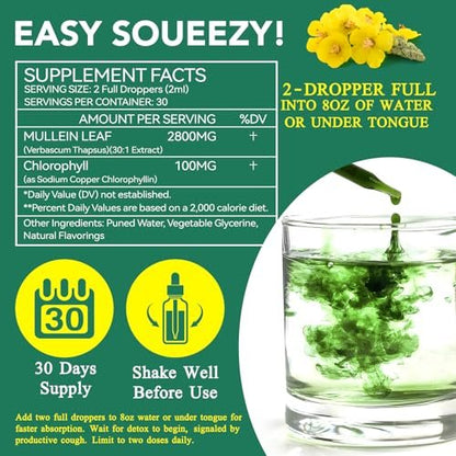 Mullein Drops for Lungs, Natural Mullein Leaf Extract, Mullein and Chlorophyll Drops for Lungs, Breathing Support Supplement (2 Fl Oz/1Pack)