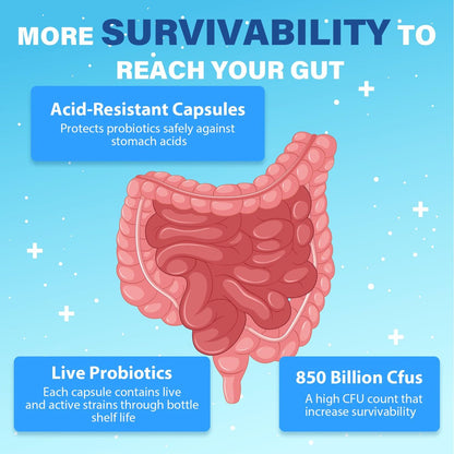 Probiotics for Men, Advanced 50+ Mens Probiotic, Comprehensive Gut & Energy Support with 850 Billion CFU, 1800mg Prebiotics Fiber – Tailored Wellness mens probiotics for gut health over 50, 90 Capsule