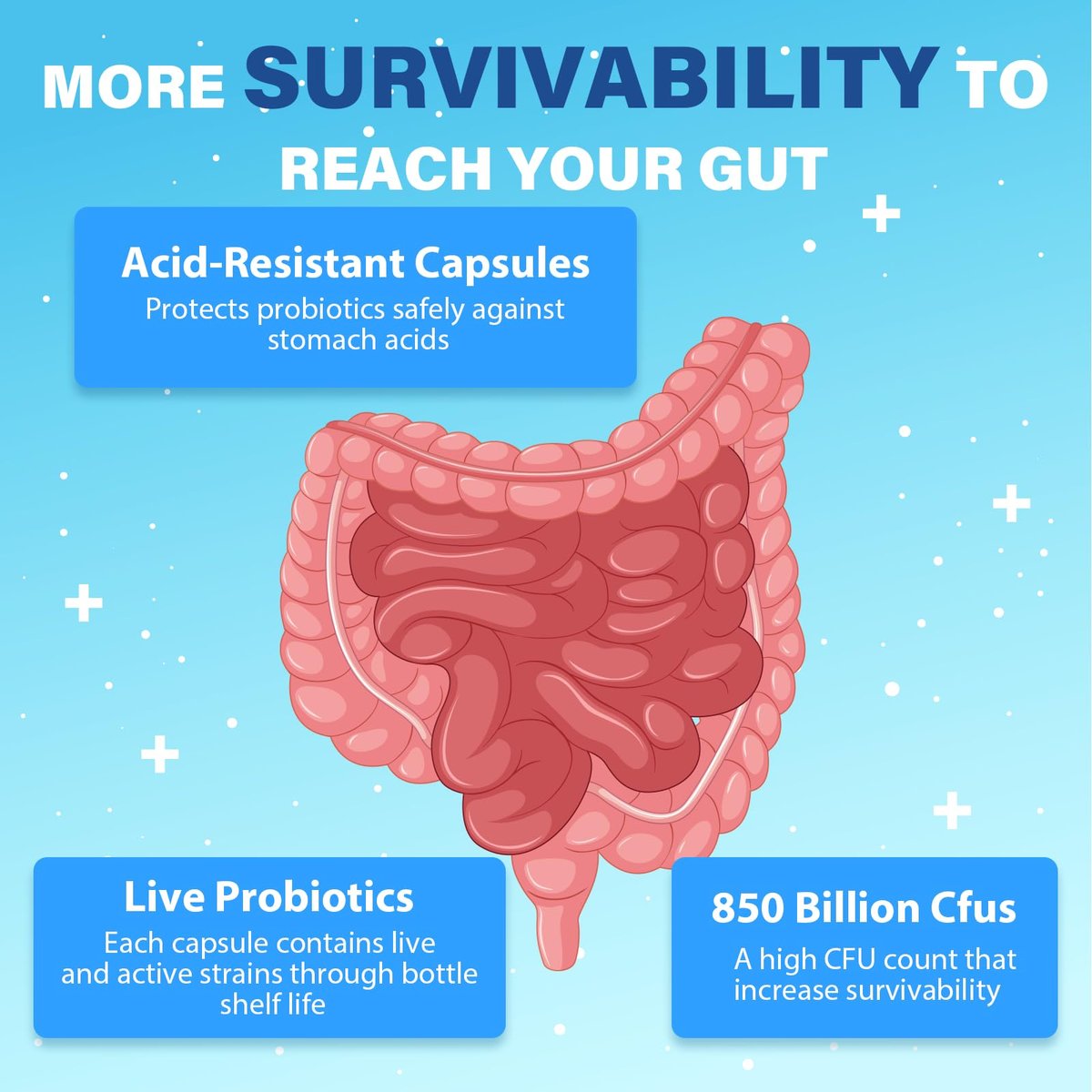 Probiotics for Men, Advanced 50+ Mens Probiotic, Comprehensive Gut & Energy Support with 850 Billion CFU, 1800mg Prebiotics Fiber – Tailored Wellness mens probiotics for gut health over 50, 90 Capsule - görsel 10