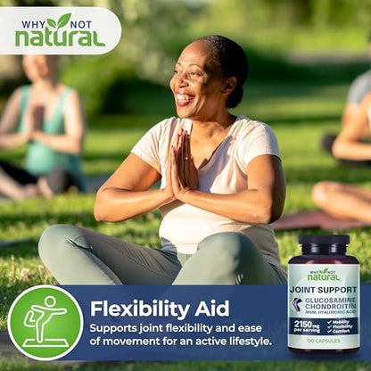 Why Not Natural Glucosamine Chondroitin, MSM, Joint Support Supplements - Knee Pain Joints Health Supplement (120 Count)