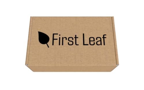 First Leaf G Zero Powder Packets with Electrolytes, Vitamins and No Sugar, 20 Count (Pack of 2) (20 Packets, Grape) - görsel 3