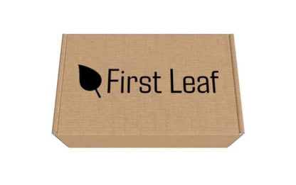 First Leaf G Zero Powder Packets with Electrolytes, Vitamins and No Sugar, 20 Count (Pack of 2) (20 Packets, Grape)