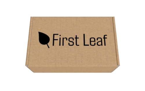 First Leaf G Zero Powder Packets with Electrolytes, Vitamins and No Sugar, 20 Count (Pack of 2) (20 Packets, Orange) - görsel 4