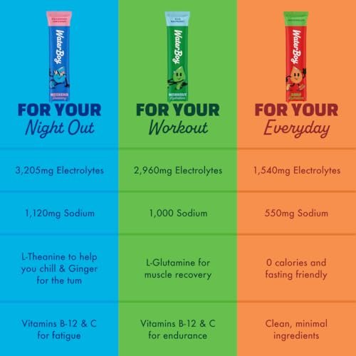 Waterboy Daily Hydration | 1,570mg – Electrolyte Profile : Sodium, potassium, magnesium, calcium (1,570mg total) – Image 10