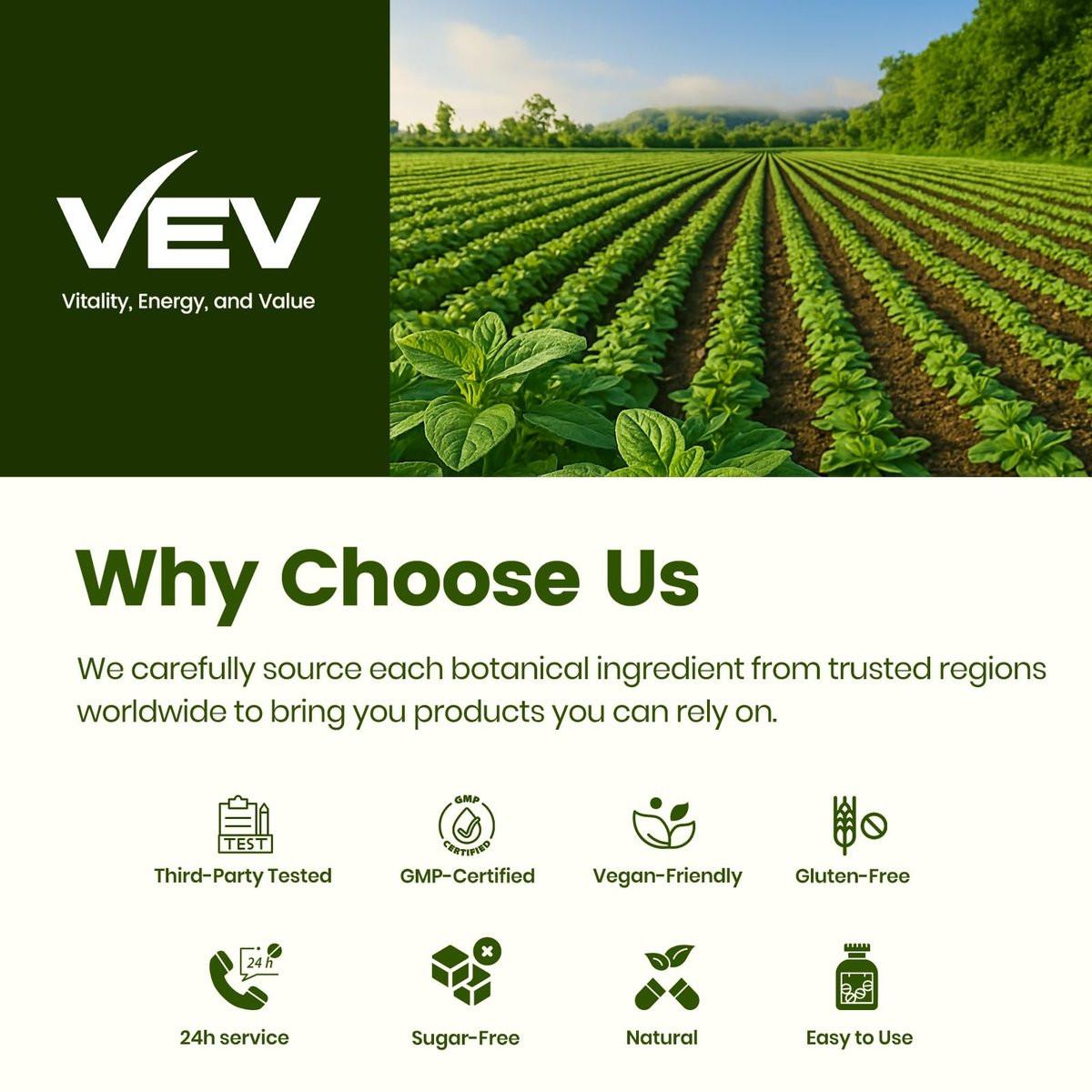 VEV Oil of Oregano with Black Seed Oil & Moringa, Organic, 300 Softgels, Aceite de Orégano, Carvacrol-Rich, Opaque Airtight Packaging, Immune Support Supplement - görsel 11