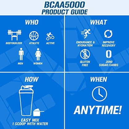Evlution BCAAs Amino Acids Powder - BCAA Powder Supplement Post Workout Recovery Drink and Stim Free Pre Workout Energy - Branched Chain Amino Acids Supplement for Men & Women (Rocket Pop, 30 Servings)