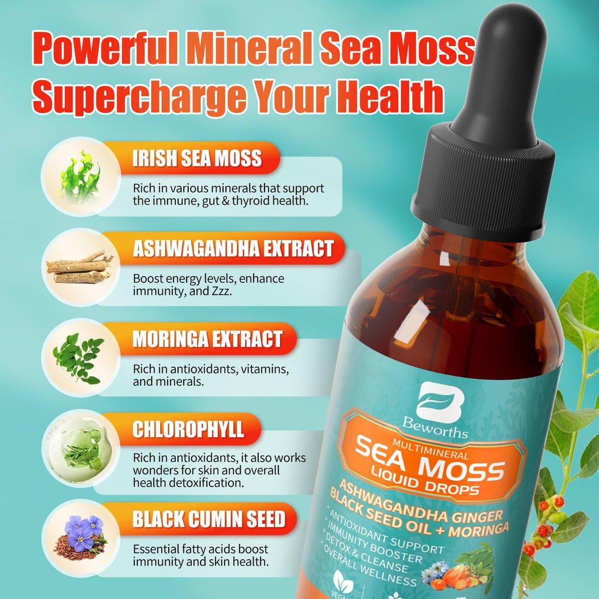 Sea Moss Drops - Irish Sea Moss Chlorophyll Liquid with Black Seed Oil, Ashwagandha, Moringa, Turmeric, Elderberry, Mullein, Seamoss Gel Supplement for Gut & Liver Cleanse, Immune Support - Vegan 2 Oz - görsel 3