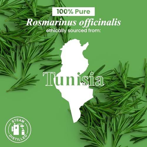 Handcraft Blends Organic Rosemary Essential Oil – 1 Fl Oz – 100% Pure and Natural – Premium Grade Essential Oil for Diffuser and Aromatherapy - görsel 9