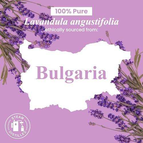 Handcraft Blends Organic Lavender Essential Oil – 1 Fl Oz – 100% Pure and Natural – Premium Grade Essential Oil for Diffuser and Aromatherapy - görsel 2