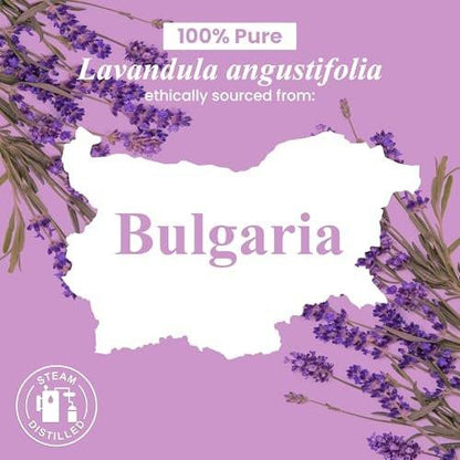 Handcraft Blends Organic Lavender Essential Oil – 1 Fl Oz – 100% Pure and Natural – Premium Grade Essential Oil for Diffuser and Aromatherapy