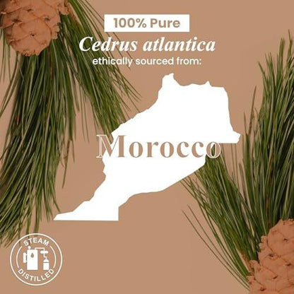 Handcraft Blends Organic Cedarwood Essential Oil – 1 Fl Oz – 100% Pure and Natural – Premium Grade Essential Oil for Diffuser and Aromatherapy