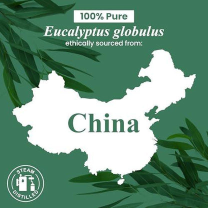 Handcraft Blends Organic Eucalyptus Essential Oil – 1 Fl Oz – 100% Pure and Natural – Premium Grade Essential Oil for Diffuser and Aromatherapy