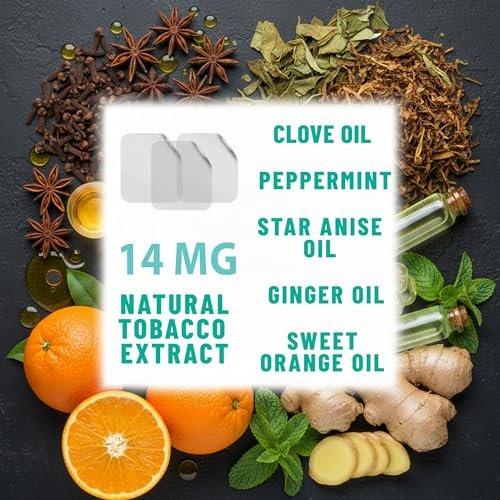 TOLEVITA Anti-Smoke Herbal Patches Transparent 14 mg | Quit Smoking Patches to Help Reduce Cravings | Herbal Stop Smoking Aid for a Healthier Lifestyle - 30 Patches - görsel 7
