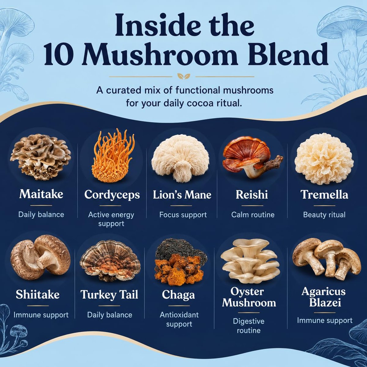 Suiyilary 10 Mushroom Hot Cocoa, 3mg Melatonin Sleep Supplement, Sugar Free Keto Cocoa Powder, Nighttime Drink, 1000mg Glycine, 200mg L-Theanine, Help Fall Asleep and Stay Asleep, 15 Servings - görsel 7